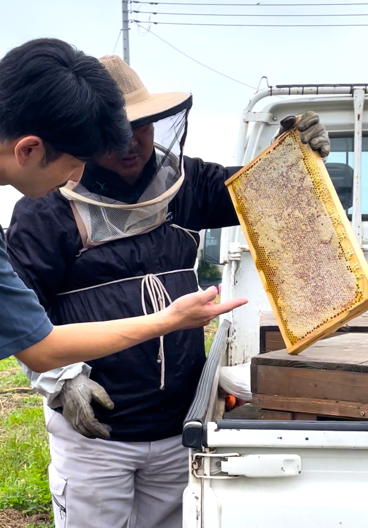 高崎産　はちみつ